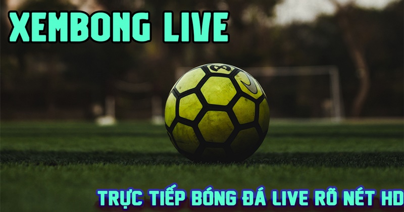 XemBong Live là sự lựa chọn đáng tin cậy cho người hâm mộ đam mê bóng đá